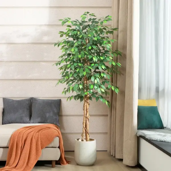 Artificial Ficus Tree With Natural Trunk